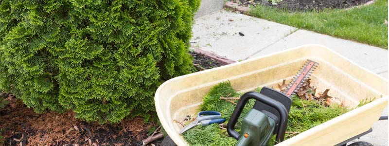 Landscaping Waste Bins in Orillia, ON